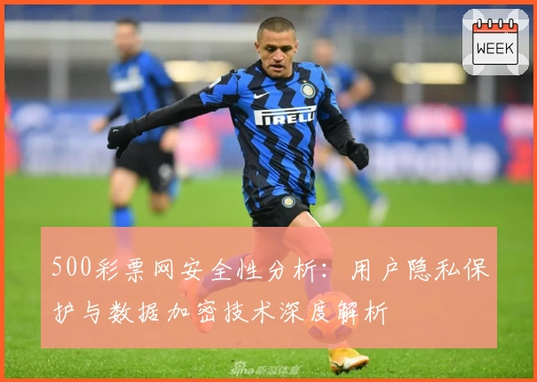 500彩票网安全性分析：用户隐私保护与数据加密技术深度解析