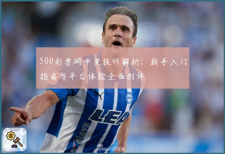 500彩票网中奖技巧解析：新手入门指南与平台体验全面测评