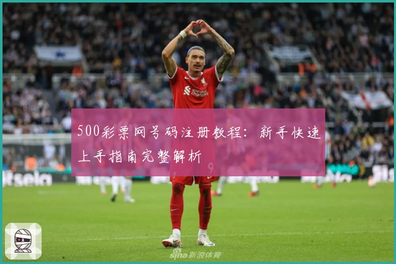 500彩票网号码注册教程：新手快速上手指南完整解析