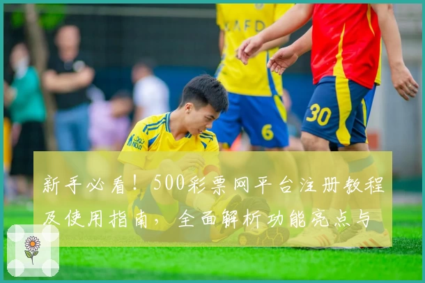 新手必看!500彩票网平台注册教程及使用指南,全面解析功能亮点与操作体验