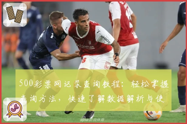 500彩票网记录查询教程：轻松掌握查询方法，快速了解数据解析与使用技巧