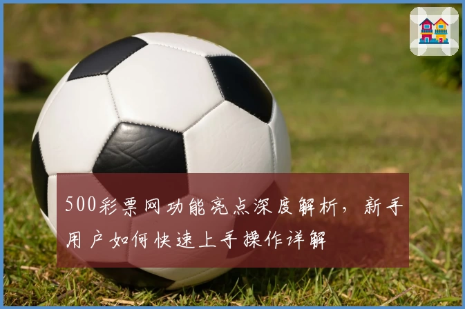 500彩票网功能亮点深度解析，新手用户如何快速上手操作详解